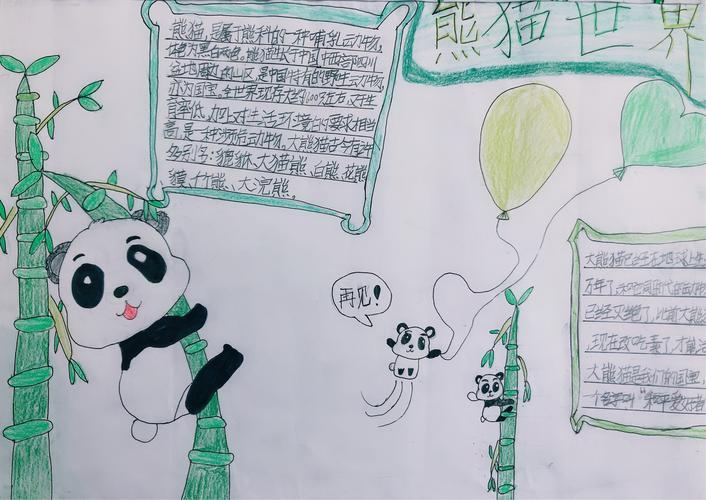 三年级国宝大熊猫手抄报三年级手抄报