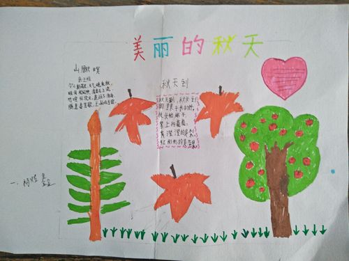 东杨小学二年级走进秋天手抄报展示