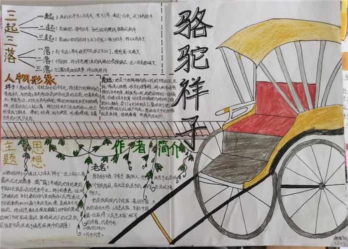 骆驼祥子手抄报内容资料