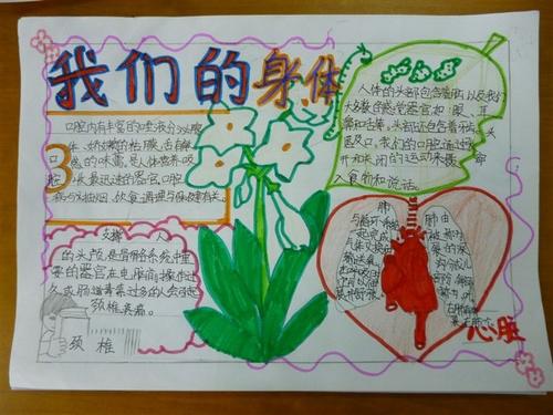 关于科学手抄报内容 关于科学手抄报内容