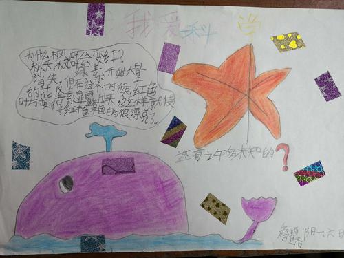 做一颗有梦想的石头 金太阳班写绘课程之 一年级假期 手抄报