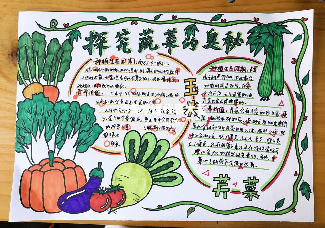 原创手绘手抄报 探究蔬菜的奥秘 工具:a4卡纸 马克笔 勾线笔 适用