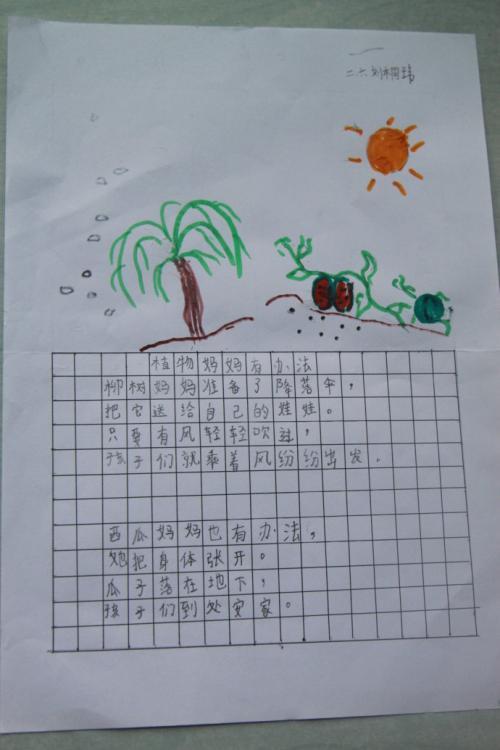 二年级仿写植物妈妈有办法手抄报二年级手抄报