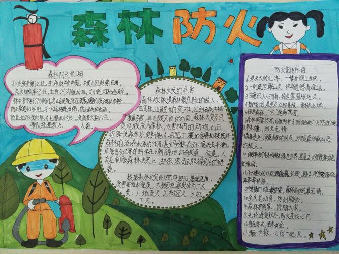 森林防火主题手抄报展示
