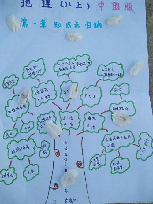 二年级上册数学知识树手抄报 三年级上册手抄报知识树七年级手抄报