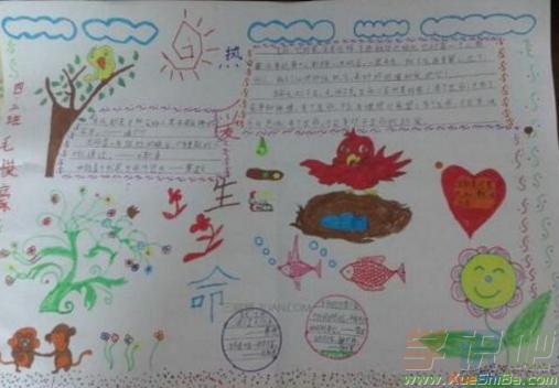 热爱生命的人手抄报 热爱生命的人手抄报