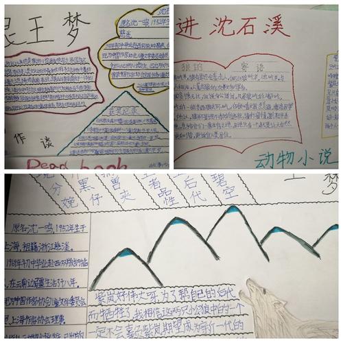 精心绘制手抄报 感谢作者沈石溪带给我们美的享受