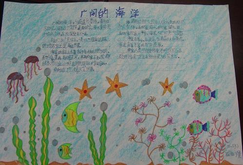 小学生海洋植物手抄报小学生手抄报