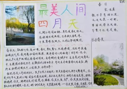最美四月天手抄报图片