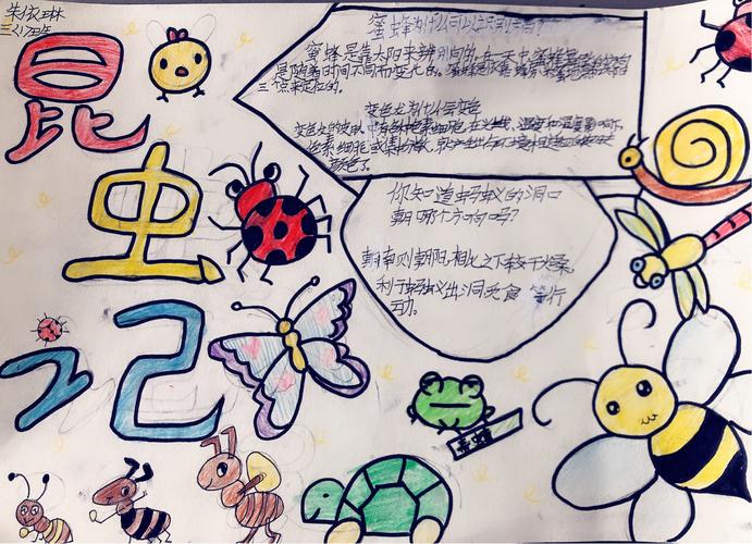 昆虫 大探秘 铜城学校三一班手抄报 四