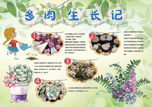 多肉植物科学手抄报植物园手抄报
