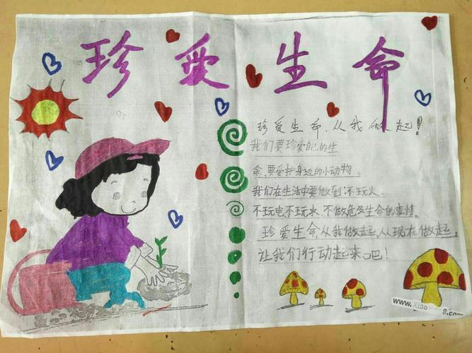 珍惜生命手抄报大全生命健康成长手抄报手抄报大全三年级珍爱生命简单