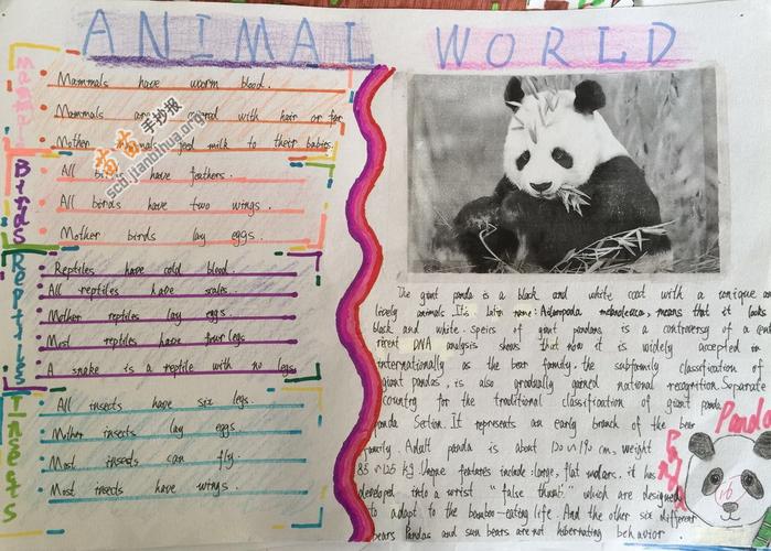 animal world动物世界英语手抄报图片