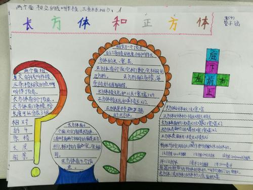 五年级下册数学长方体的手抄报五年级下册手抄报