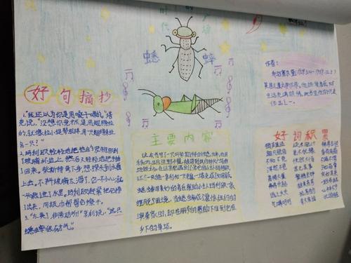 时代广场的蟋蟀读书卡手抄报跳蚤市场的手抄报