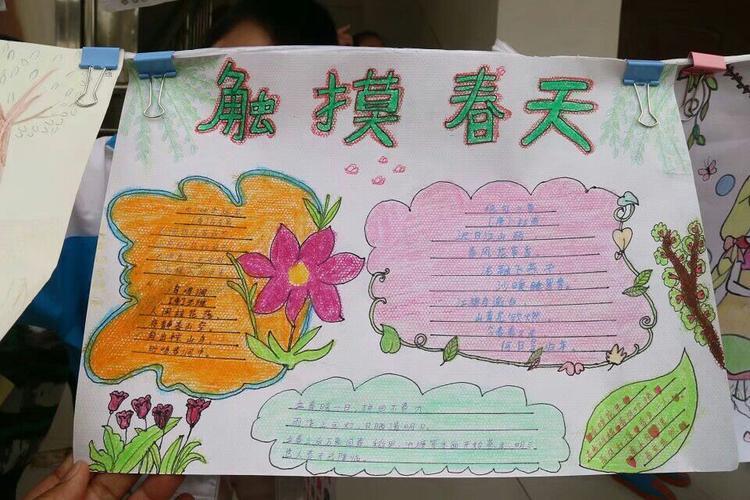 六年级触摸春天手抄报六年级手抄报