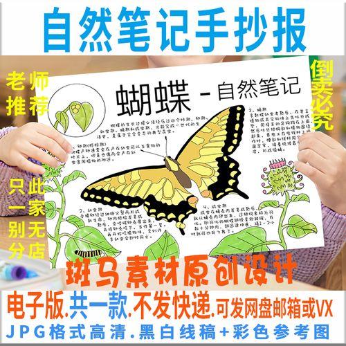 读书笔记手抄报蝴蝶一生成长昆虫观察日记自然笔记涂色描线空白a438k