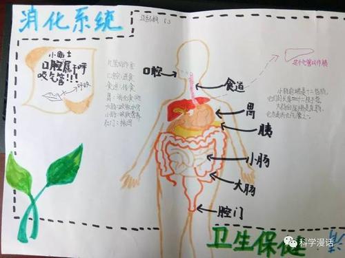 关于消化系统卫生保健的手抄报关于消防的手抄报