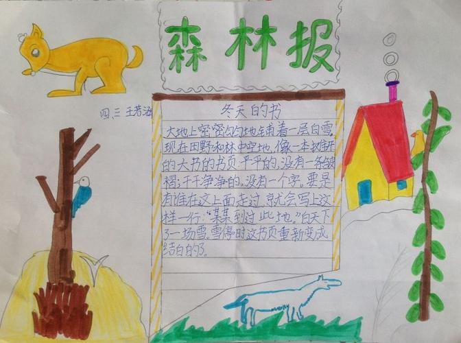 森林报有关冬天的手抄报森林报手抄报