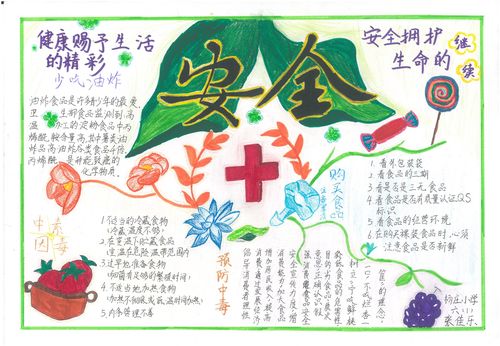 真武镇 食品安全在我心中 知识手抄报作品展示