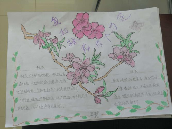 我和桃花有个约会 锡市芳草小学二年级优秀手抄报展