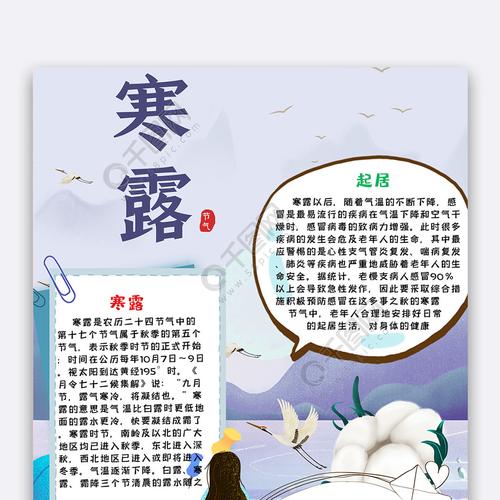 紫色简约寒露手抄报