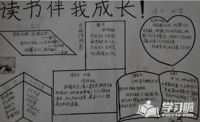 我在成长手抄报内容