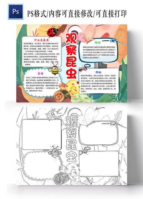 绿色卡通观察昆虫昆虫小学生手抄报卡通小报手抄报