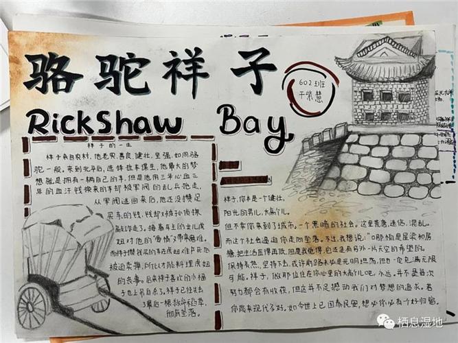 骆驼祥子手抄报内容资料