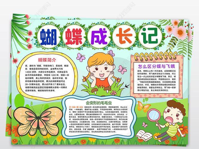 小草蝴蝶露珠小甲虫手抄报手抄报简单又好看