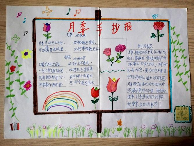 南阳市第十五小学东校区三二班 月季花手抄报