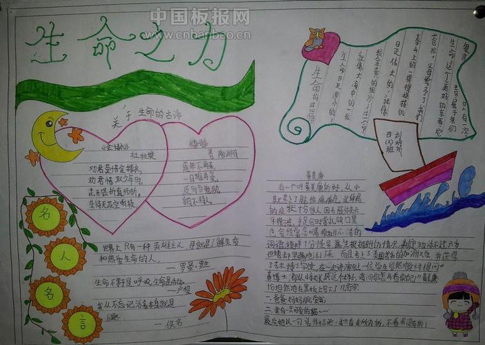 感恩生命手抄报大全