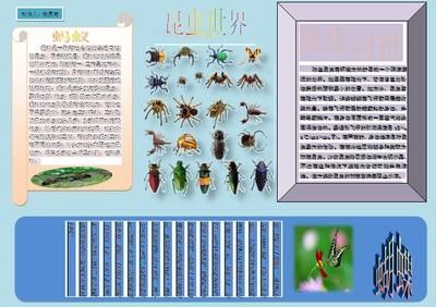 农业害虫的生物防治手抄报党的生日手抄报