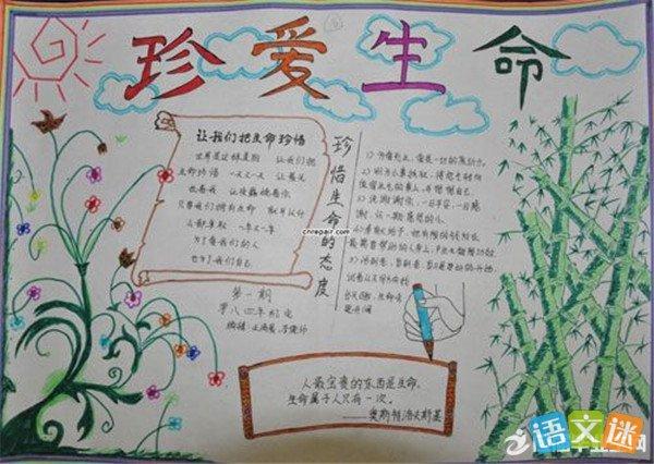 动物生命的手抄报