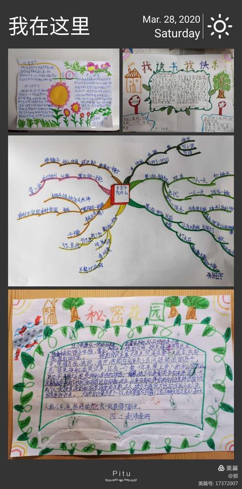 三年级读书思维导图手抄报 三年级读书手抄报