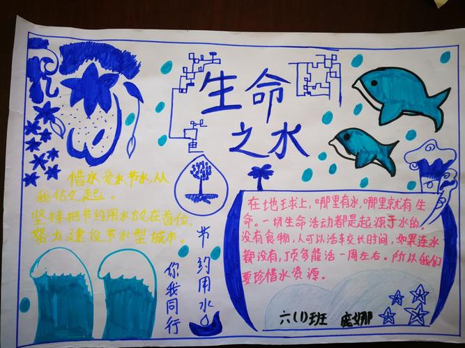 固原市实验小学六年级 生命之水 手抄报