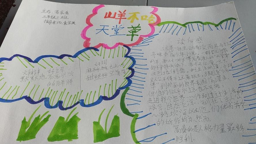 张店区兴学街小学三年级三班读书手抄报《山羊不吃天堂草》 指导老师