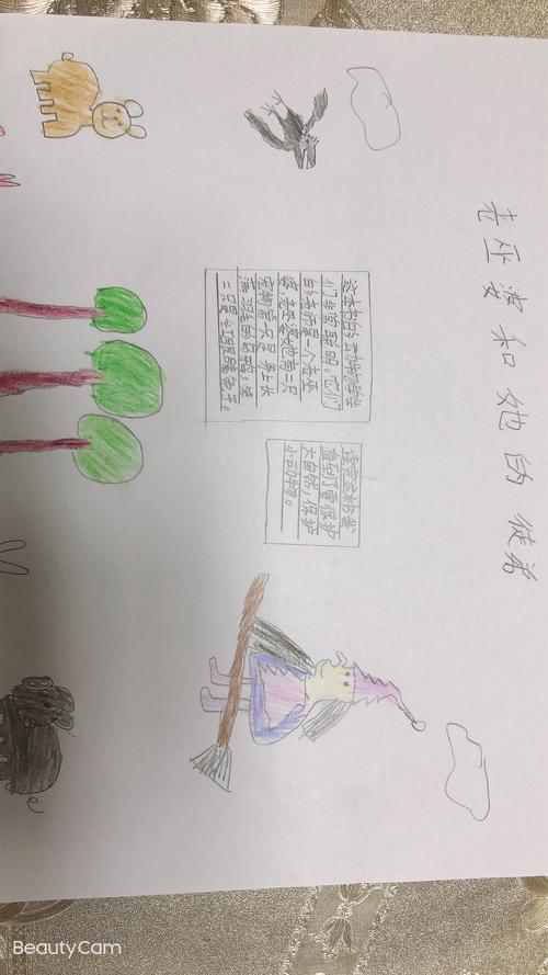 用一张手抄报记录老巫婆和她的徒弟这本书