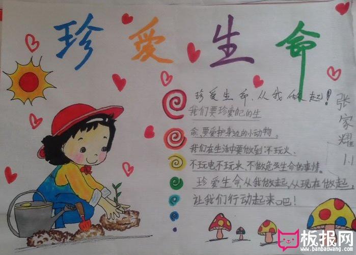 小学生珍爱生命的手抄报 珍爱生命从我做起