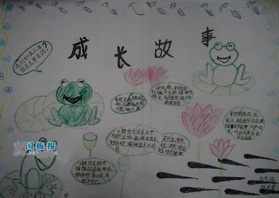 手抄报顺口溜 小青蛙 小青蛙 呱呱呱 白白肚皮大嘴巴 捉害虫 本领大