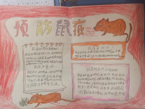 学生用手抄报的形式表现出自己对 灭鼠防疫 知识的理解.