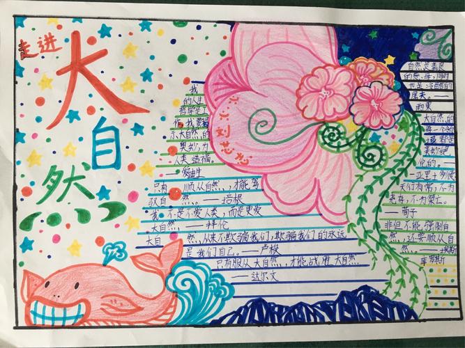 秋之韵 师范附小六年级六班主题手抄报一览