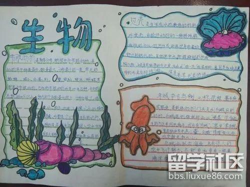 生物手抄报