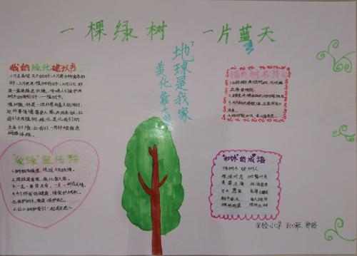 一棵绿树 一片蓝天 濮阳市实验小学五 7 班手抄报展示