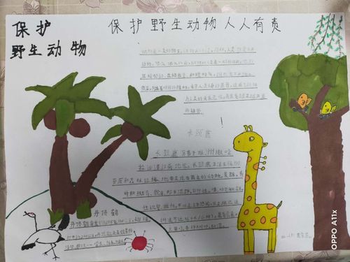 我的野生动物朋友 垦利区三小二年级一班手抄报展示