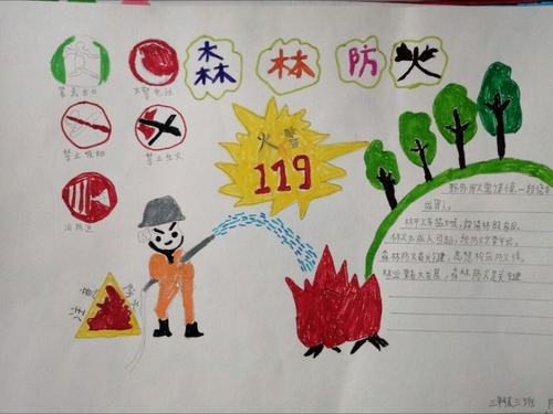 林草防火 人人有责 成雅小学开展 森林草原防火 手抄报展评活动