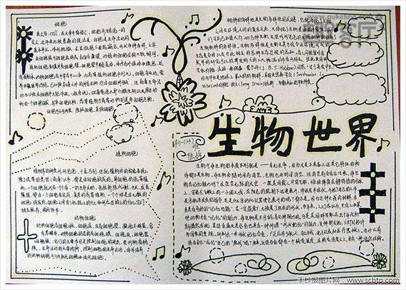 生物的手抄报内容资料关于生物板报图片大全