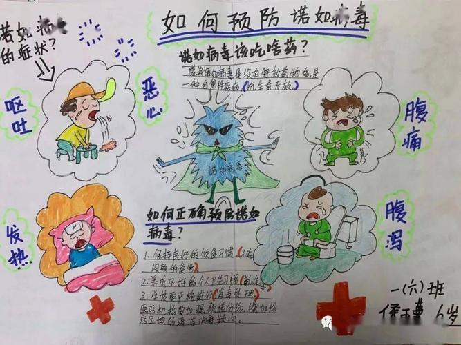 诺如病毒宣传主题手抄报禁毒宣传手抄报