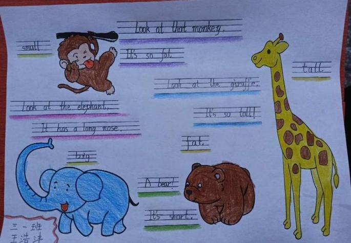 动物单词英语手抄报英语手抄报