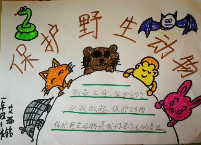 敬畏生命 保护野生动物 榆林高新小学一年级一班手抄报